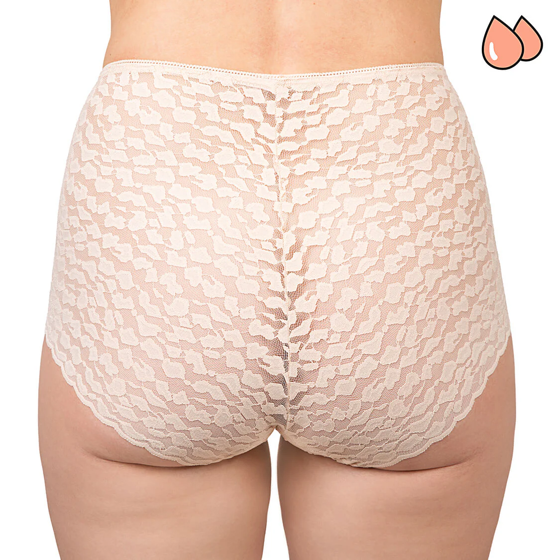 Her Highness Leakproof Briefs - Image 3